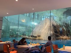 -帝企鹅自助餐厅•儿童岛•真企鹅(长隆企鹅酒店)