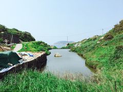 -南麂列岛