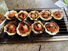 -吴淞炮台湾湿地森林公园烧烤区