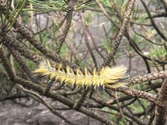 -萍乡武功山风景名胜区