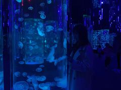 -成都浩海立方海洋公园