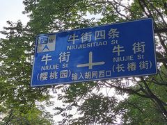 -中国伊斯兰教经学院