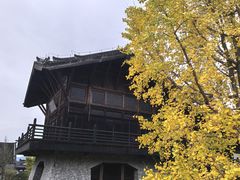 -大唐贡茶院