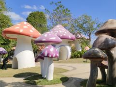 -海花岛旅游度假区