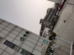 -中国中医科学院望京医院(院本部)