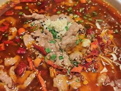 -春茗熙