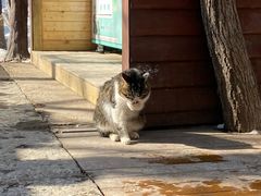 -终南山南五台景区