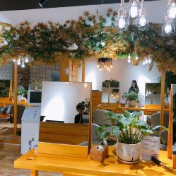 -明洞造型精品烫染