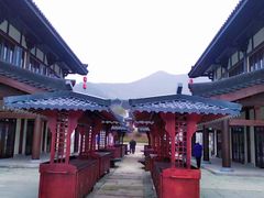 -大唐贡茶院