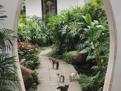 -广州兰圃