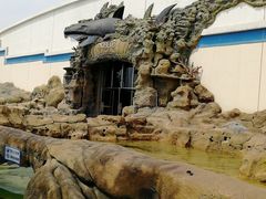 -秦皇岛乐岛海洋王国