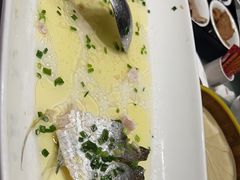 -沪碟·精菜坊(闵行店)