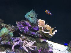 -香港科学馆