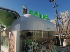 -Salud撒露欧洲冻酸奶(蓝色港湾店)