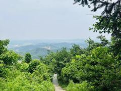 -冶父山国家森林公园