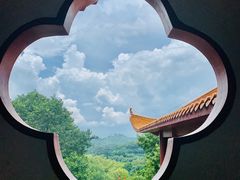 -深圳仙湖植物园