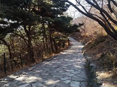 -香山公园