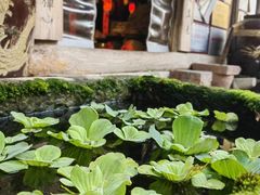 -田园印象·成都土菜院子(华阳店)