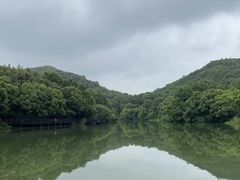 -白马涧龙池景区