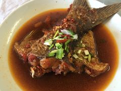 -天乐农家鱼头王(天目湖店)
