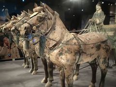 -秦始皇帝陵博物院-丽山园