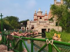 -青岛方特梦幻王国