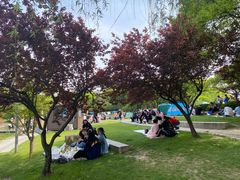 -昆山城市生态森林公园