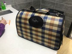 -美联众合宠物医院·爱萌分院·内外科·猫科中心