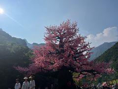 -河南宝泉旅游区