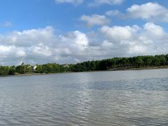 -上海海湾国家森林公园