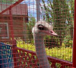 -萌宠亲子动物乐园(槐房万达店)