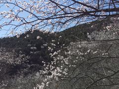 -北京凤凰岭