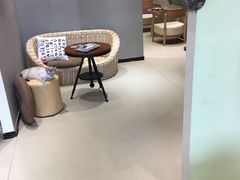 大堂-藏猫猫咖啡主题馆(中央大道店)