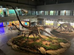 -自贡恐龙博物馆
