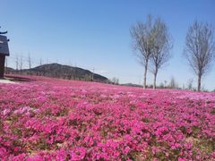 -羊亭河湿地公园