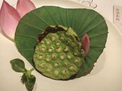 -叶叶菩提·晋福宫