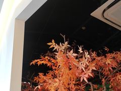 -荷塘秋月·本帮江浙菜(国权路店)