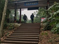 -潜山国家森林公园