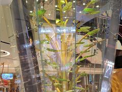 -视博茶点(美狮美高梅店)