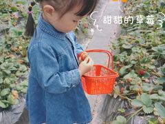 -洪湖家庭农场·团建·露营·会议