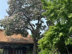 -戏马台景区