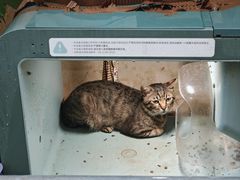 -深圳市人才园(深南大道店)