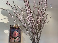 -echoes coffee回响咖啡(红山店)