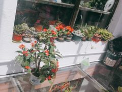 -北京龙庆四季香农家饭庄·灶台鱼·碳烤虹鳟鱼(龙庆峡店)