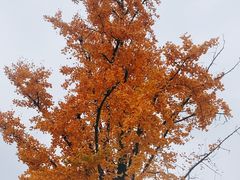 -清凉寺