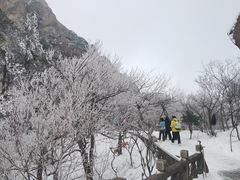 -天柱山风景区