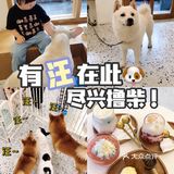 有汪在此🐶超好rua的撸狗圣地～