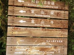 -阳台山自然风景区