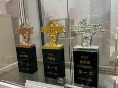 -青奢宠物·青奢猫舍