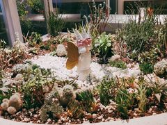 -春树下·树屋花房西餐厅(罍街AS1980店)